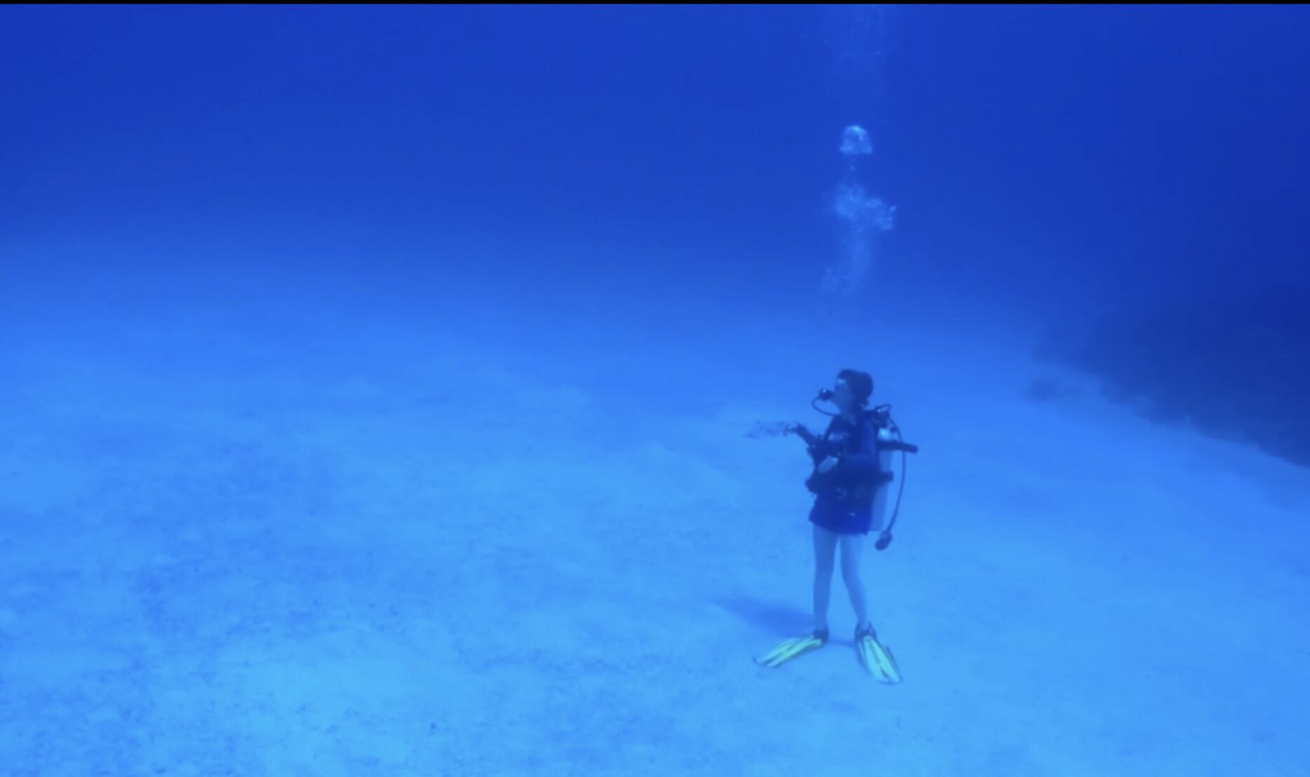Dianne Ray scuba